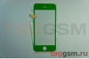 Стекло для iPhone 5 / 5C / 5S (зеленый)