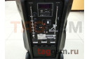 Колонка (MR-105) (Bluetooth+USB+SD+MicroSD+FM+EQ+LED+2 BTмикрофона+пульт+дисплей) (черная)