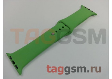 Ремешок для Apple Watch 42mm / 44mm / 45mm / 49mm (зеленый)
