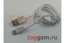 Кабель USB - USB 3.1 (Type-C) (A161) ASPOR (1,2м) (белый / серебро)