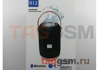 Колонка портативная (Bluetooth+AUX+MicroSD) (камуфляж) R12