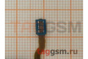 Шлейф для Samsung G950F / G955F Galaxy S8 / S8 Plus + сканер отпечатка пальца (черный)