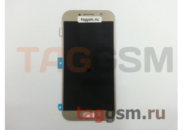 Дисплей для Samsung  SM-A520 Galaxy A5 (2017) + тачскрин (золото), OLED LCD