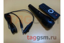 Колонка (EL8-10ch) (Bluetooth+USB+MicroSD+FM+MIC+пульт) (черная)