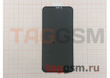 Пленка / стекло на дисплей для iPhone XR / 11 (Анти-шпион Gorilla Glass) 5D (черный) техпак