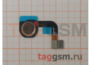 Шлейф для Nokia 7 Plus + сканер отпечатка пальца (черный)