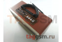 Колонка (M-113BT ch) (Bluetooth+USB+SD+MicroSD+FM) (серебро)