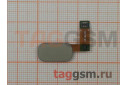 Шлейф для Asus Zenfone 4 Max (ZC554KL) + сканер отпечатка пальца (черный)