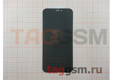 Пленка / стекло на дисплей для iPhone 12 Mini (Анти-шпион Gorilla Glass) 5D (черный) техпак