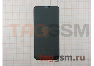 Пленка / стекло на дисплей для iPhone 12 Pro Max (Анти-шпион Gorilla Glass) 5D (черный) техпак