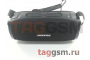 Колонка портативная (Bluetooth+AUX+USB+MicroSD+TWS+TF+IPX6+FM+подсветка) (черная) Hopestar, H24PRO