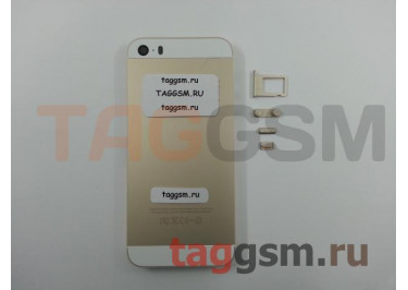 Задняя крышка для iPhone 5S (золото) A