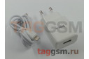 Блок питания USB (сеть) 2100mA + кабель USB - Lightning (в коробке) белый, (N9) HOCO