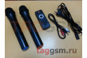 Колонка (20-53) (Bluetooth+USB+SD+FM+AUX+TWS+Динамик 10