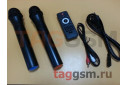 Колонка (20-07) (Bluetooth+USB+SD+FM+AUX+TWS+Динамик 8