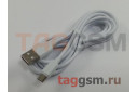 Кабель USB - micro USB (в коробке) белый 2м, Borofone (BX14)