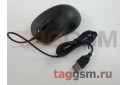 Мышь проводная Borofone BG4 3 кн, 1000 DPI, USB, черный