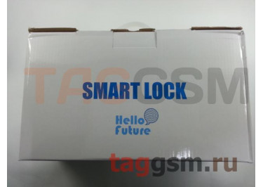 Умный дверной замок Smart Door Lock (B2-1) со сканером отпечатка пальца (правый) (с врезным механизмом) (black)