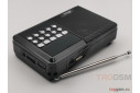 Радиоприёмник Ritmix RPR-001 Black (FM, USB, MicroSD, AUX, цифровой тюнер, АA)