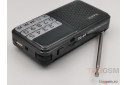 Радиоприемник Maxvi PR-02 Black (FM, USB, MicroSD, AUX, цифровой тюнер, 3W)