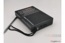 Радиоприемник Maxvi PR-01 Black (AM\FM, аналоговый тюнер, 2хАА)
