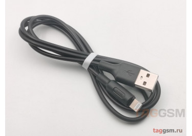 USB для iPhone 7 / iPhone 6 / iPhone 5 / iPad4 / iPad Mini / iPod Nano (в коробке) черный 1м, HOCO (X25)