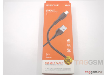 USB для iPhone X / iPhone 8 / iPhone 7 / iPhone 6 / iPhone 5 / iPad4 / iPad Mini (в коробке) черный 1м, Borofone (BX51)