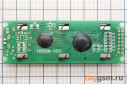RH1602D-TYH Eng-Rus Символьный ЖК-индикатор 16x2 (желто-зеленый)