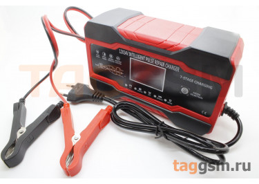Зарядное устройство для автомобильных аккумуляторов автоматическое RJTianye RJ-C121001A (12В 10А / 24В 5А), красный