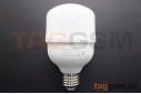 Лампа светодиодная LED POWER E27 128x70мм 20Вт 6500K (170-265В) ЭРА STANDART