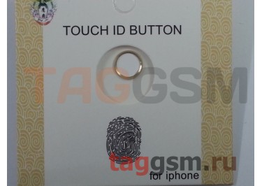 Наклейка на кнопку "Home" для iPhone 5 (белый-золото) (дизайн iPhone 5s)
