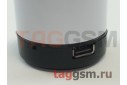Колонка (Bluetooth, USB, microSD, белая) (S10)