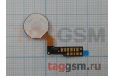 Шлейф для LG M250 K10 (2017) + кнопка HOME + сканер отпечатка пальца (серебро)