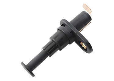 ASW-19 Концевой выключатель ON-(OFF) SPST 12В 20А с толкателем 43мм