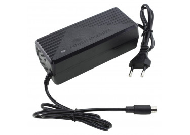 Сетевое зарядное устройство для гироскутера (42V 2A) (8 х 5,5) Тип 2