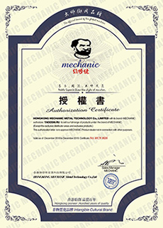 Сертификат Mechanic